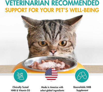 AminAmend Muscle Support for Small Dogs and Cats with CaHMB and Vitamin D3 – 30 Capsules