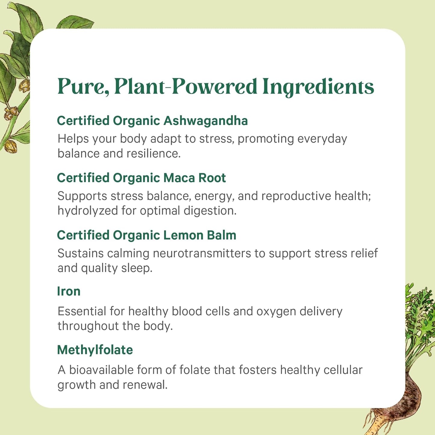 PURE SYNERGY Vita·Min·Balance: Women's Multivitamin with Iron – Organic Whole Foods for Energy and Stress Support (60 Tablets) - görsel 5