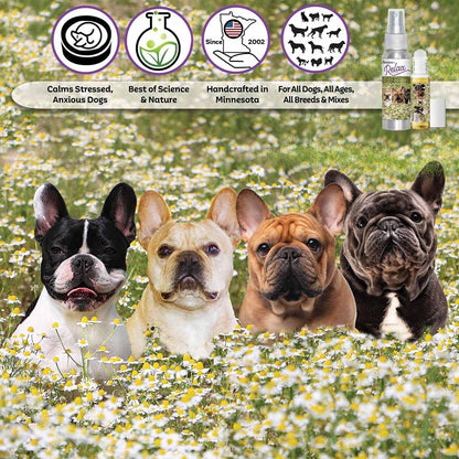 The Blissful Dog French Bulldog Relax Aromatherapy Spray
