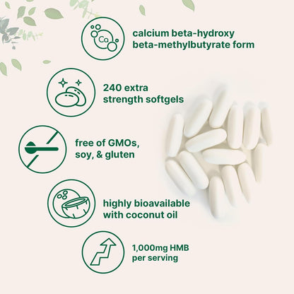 Micro Ingredients HMB 1,000mg - 240 Soft gel capsules with Coconut Oil