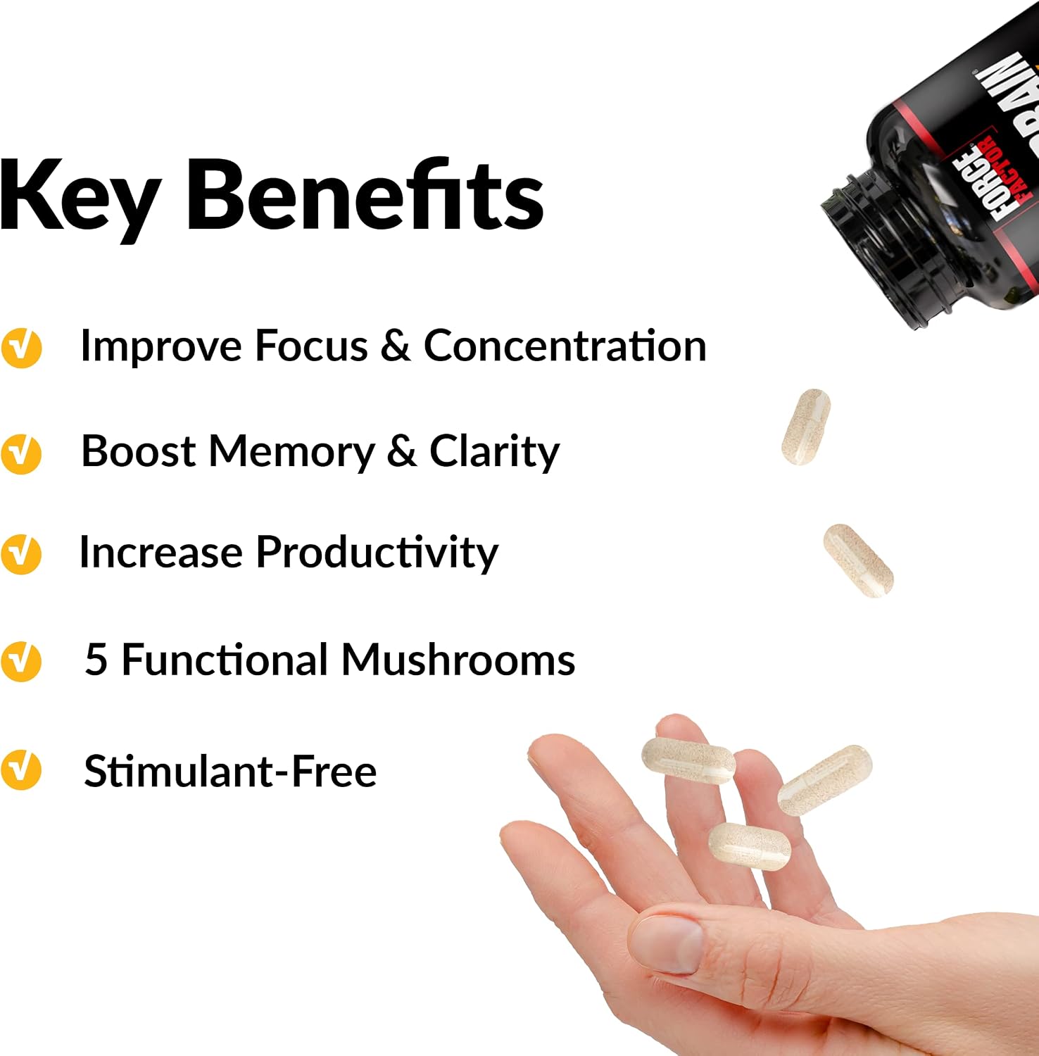 Force Factor Forebrain Focus Brain Supplement - Nootropic Formula for Focus, Memory & Clarity (60 Capsules) - görsel 2