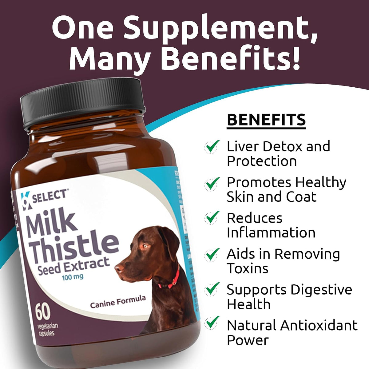 Milk Thistle for Dogs, 100mg – 60 Vegetable Capsules – Canine Liver Health Supplement - görsel 5