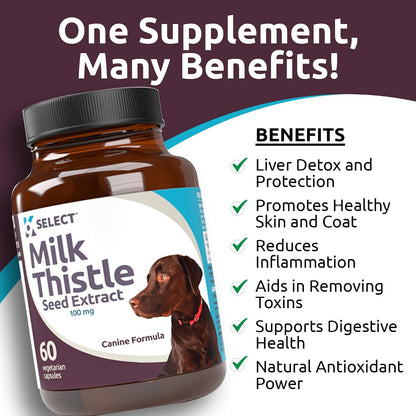 Milk Thistle for Dogs, 100mg – 60 Vegetable Capsules – Canine Liver Health Supplement