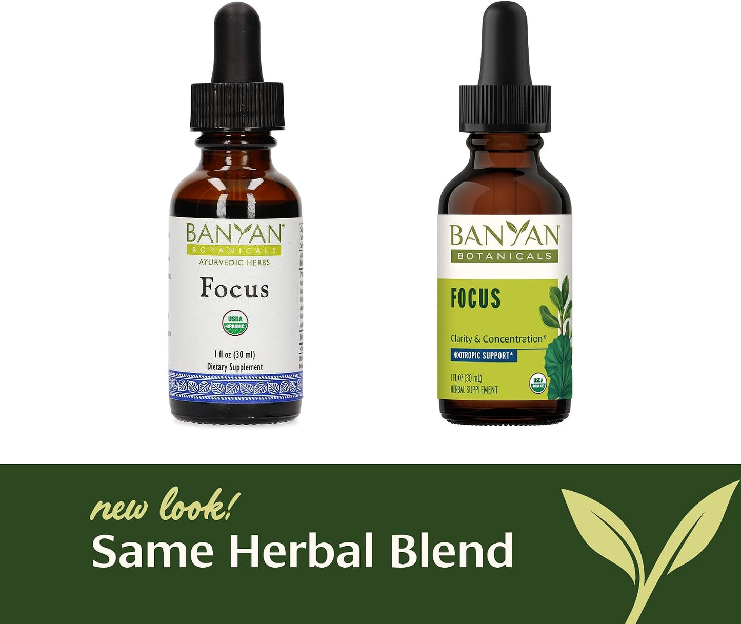Banyan Botanicals Focus Liquid Extract – Organic Gotu Kola & Brahmi – 30 ml - görsel 5