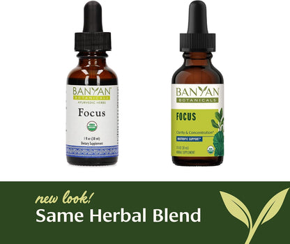 Banyan Botanicals Focus Liquid Extract – Organic Gotu Kola & Brahmi – 30 ml