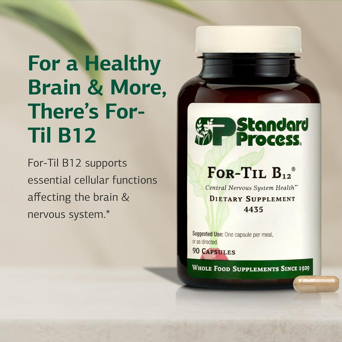 Standard Process for-Til B12 – Whole Food Vitamin B12 Supplement for Nervous System and Immune Function – 90 Capsules - görsel 3