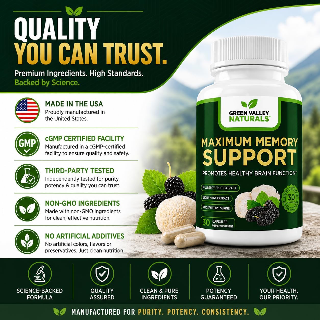Green Valley Naturals Maximum Memory Support | Cognitive Formula with Lion's Mane, Mulberry, Phosphatidylserine & Methylated B Vitamins | 30 Capsules - görsel 7