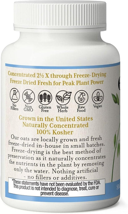 Eclectic Herb - Organic Oats Capsules | Milky Green Oats Avena Sativa | Nervous System Support | Natural Dietary Supplement | US-Grown, Vegan, Non-GMO, Gluten-free (90 CT | 375 mg)