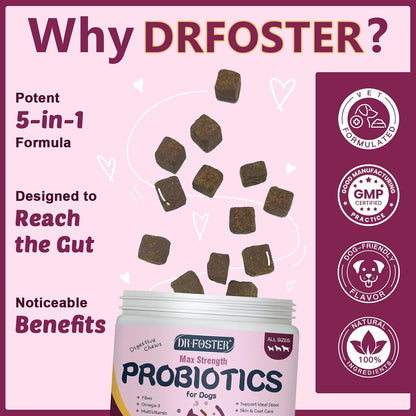 Probiotics for Dogs, Dog Probiotics for Digestive Health, 6 Billion CFU, with Prebiotics & Digestive Enzymes, Pumpkin & Omega-3, Dog Diarrhoea Relief & Immune Support, Skin & Coat Care, 120 Soft Chews
