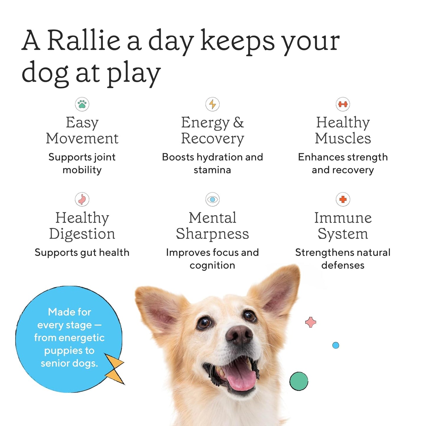 Rallie Apple Bacon Flavoured Hydrogen Water for Dogs with Electrolytes Glucosamine and B Vitamins, 500ml 6 Pack - görsel 5