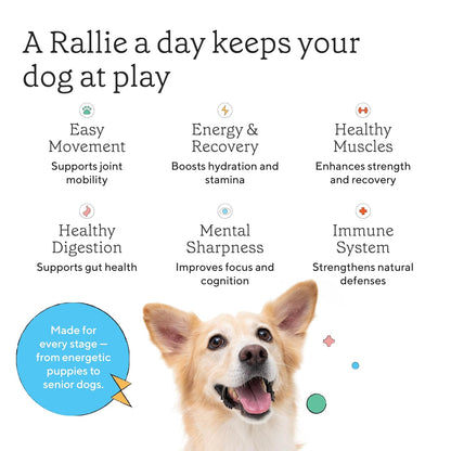 Rallie Apple Bacon Flavoured Hydrogen Water for Dogs with Electrolytes Glucosamine and B Vitamins, 500ml 6 Pack