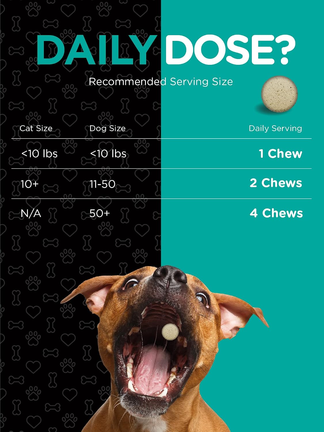Horbaach Probiotics for Dogs & Cats – 120 Chewable Tablets – Digestive Health Supplement with 14 Probiotic Strains – Savoury Beef Flavour - görsel 5