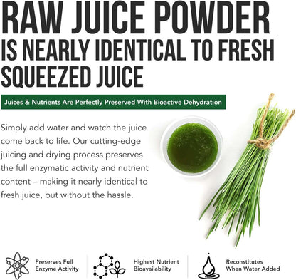 Organic Barley Grass Juice Powder - Grown in Volcanic Soil of Utah - Raw & BioActive Form, Cold-Pressed then CO2 Dried – Gluten-free, GMO free, Vegan - 150 g
