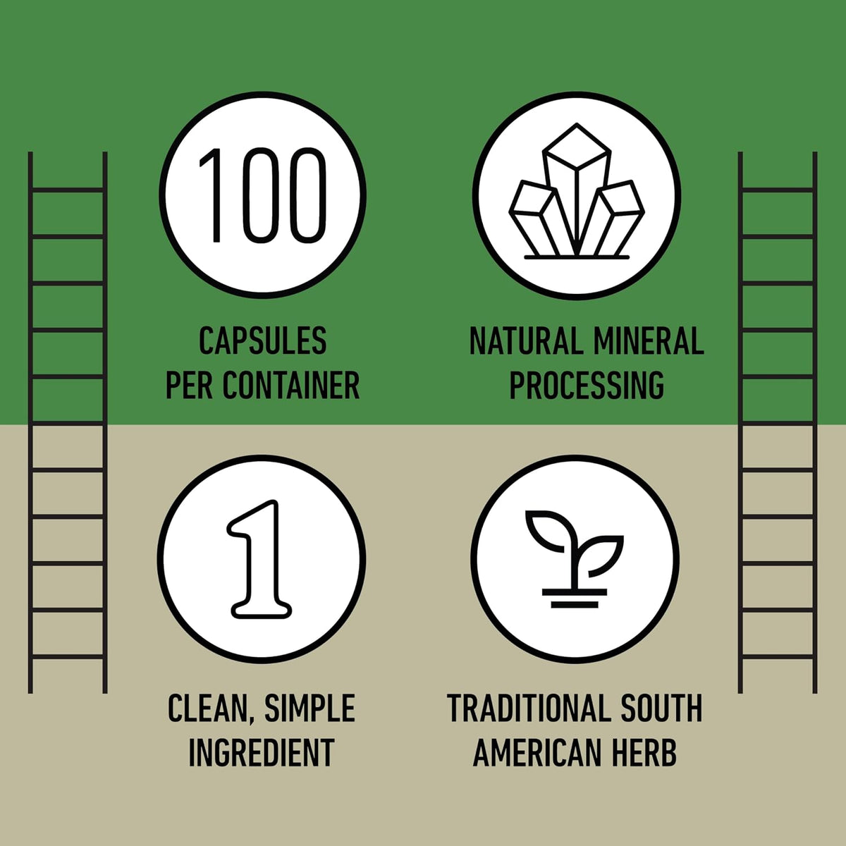 Chanca Piedra Organic Capsules 500mg – Stonebreaker Food Supplement - görsel 8