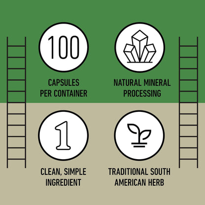Chanca Piedra Organic Capsules 500mg – Stonebreaker Food Supplement