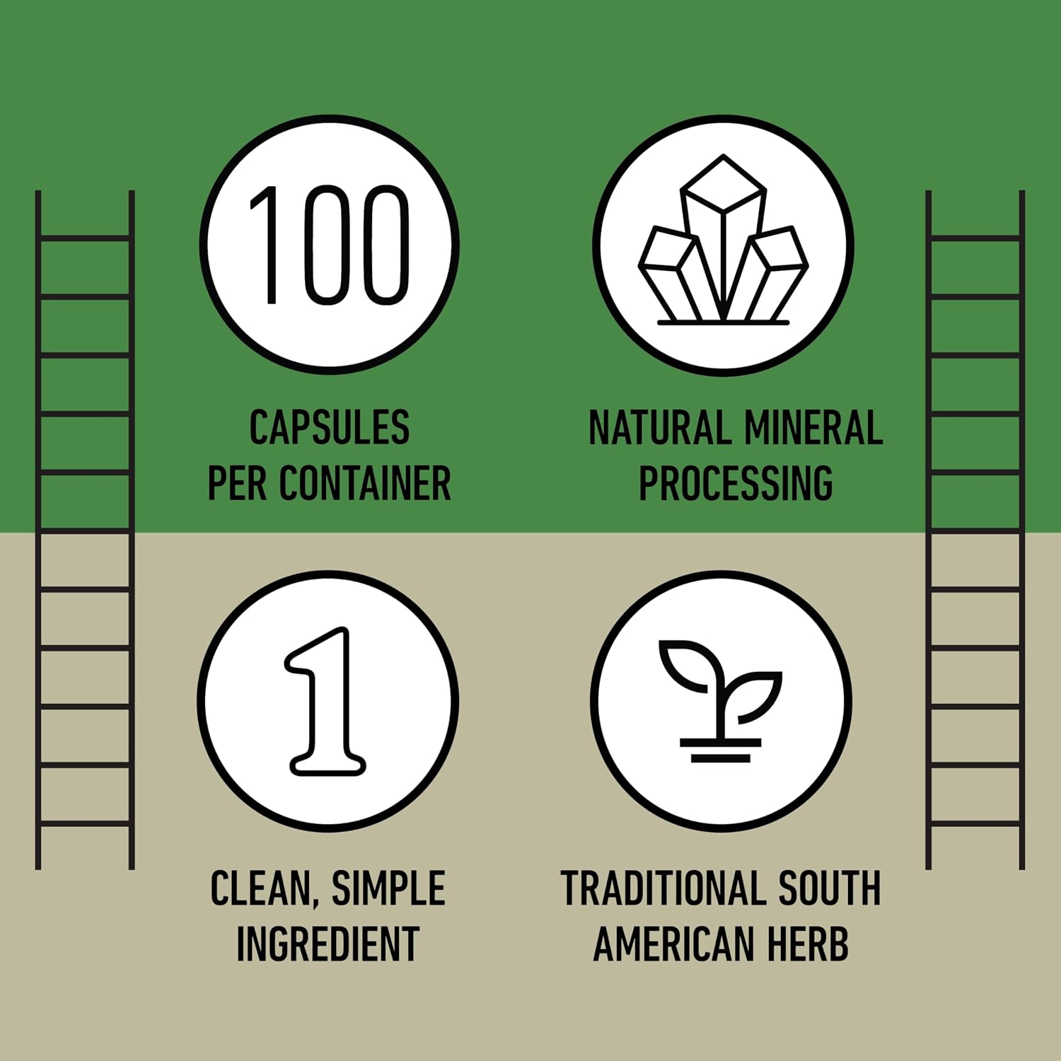 Complete Natural Products Chanca Piedra Organic Capsules 500mg - Phyllanthus Niruri Stonebreaker Extract for Kidney, Gallbladder & Liver Support, 100 Vegan Capsules, Non-GM, Made in USA - görsel 8