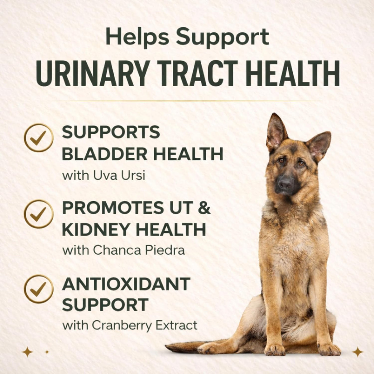 VetriScience Quick Action UT Health Chewable Tablets for Dogs - 90 Count - görsel 4