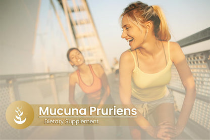 PURE ORIGINAL INGREDIENTS Mucuna Pruriens, 100 Capsules - Pure Single-Ingredient Supplement, No Additives or Fillers, Lab Verified