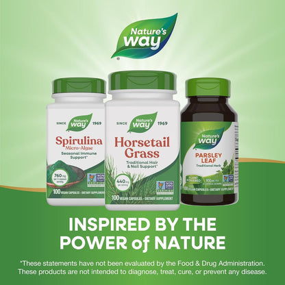Nature's Way Horsetail Grass - 440mg per Capsule - Hair & Nail Support - 100 Capsules