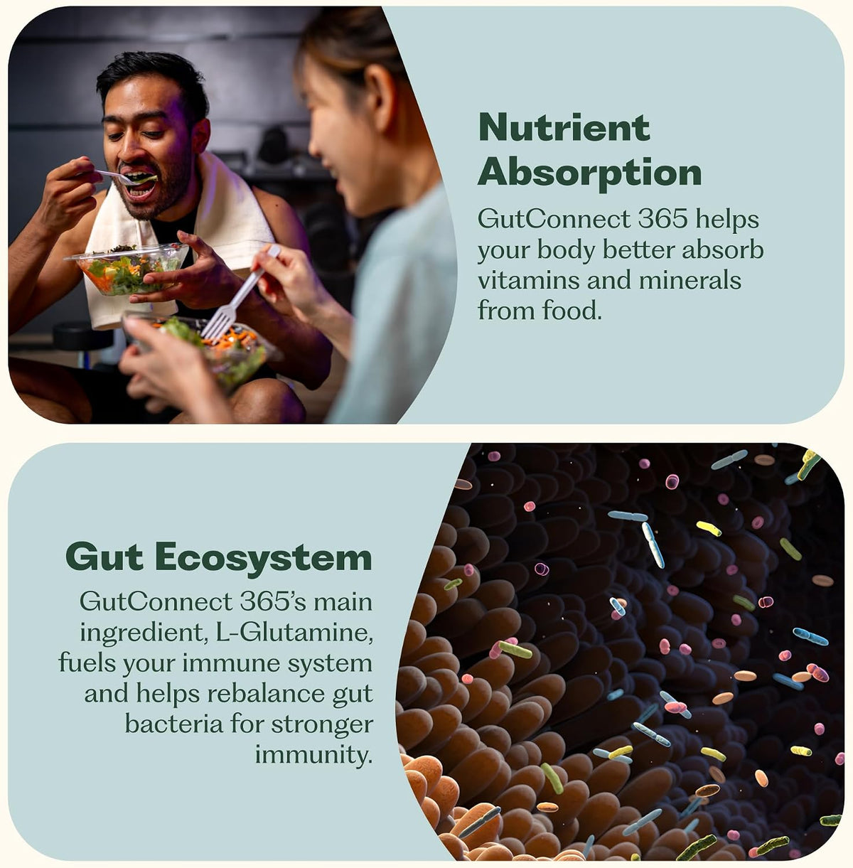 Nature M.D. GutConnect 365 – Chocolate Coconut Gut Health SuperFood Powder, 30 Servings - görsel 5
