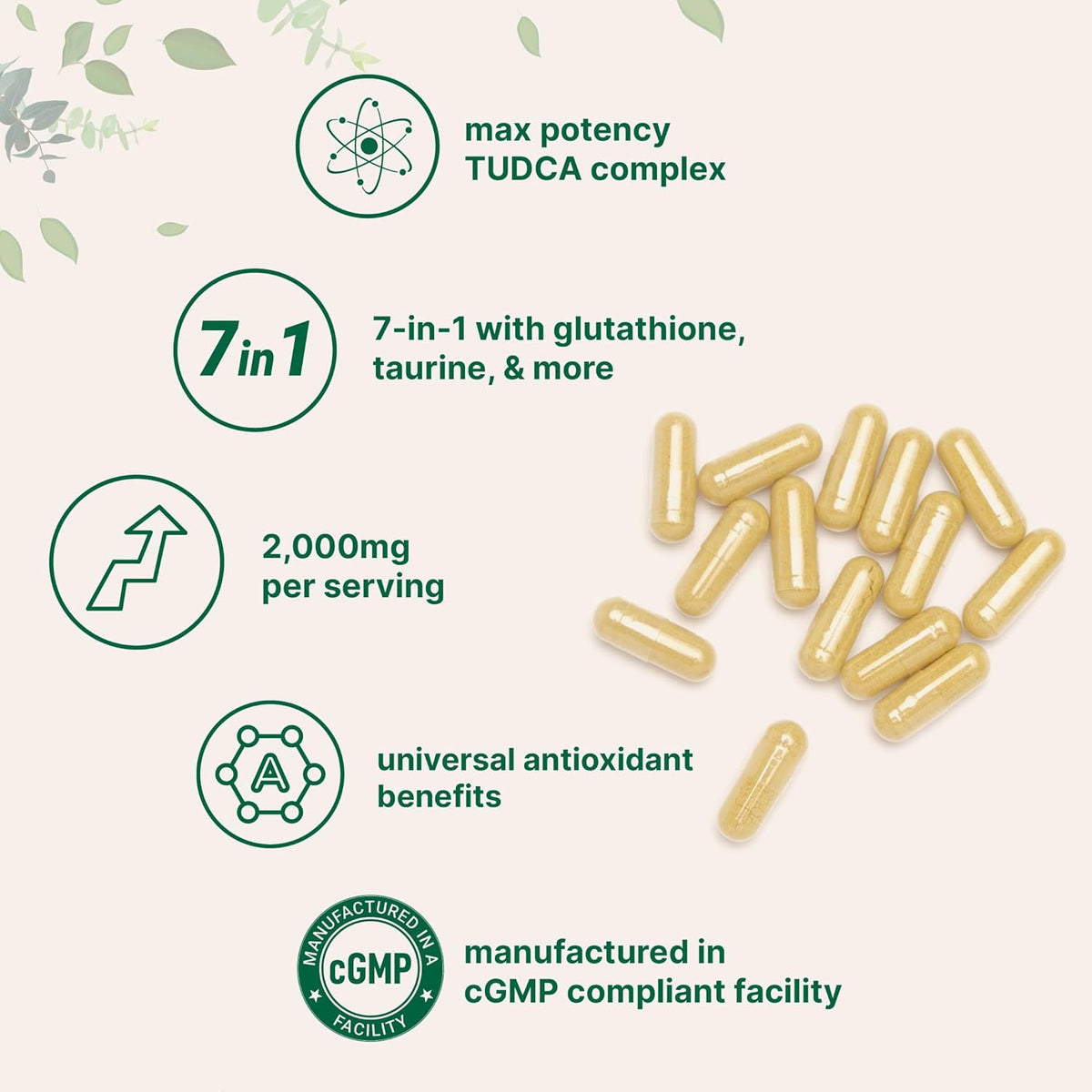 Micro Ingredients TUDCA Bile Salts 2,000 mg Supplement, 240 Capsules | 7-in-1 Complex with NAC, Milk Thistle, Glutathione, Dandelion & Artichoke | Extra Strength Tauroursodeoxycholic Acid | Non-GMO - görsel 3