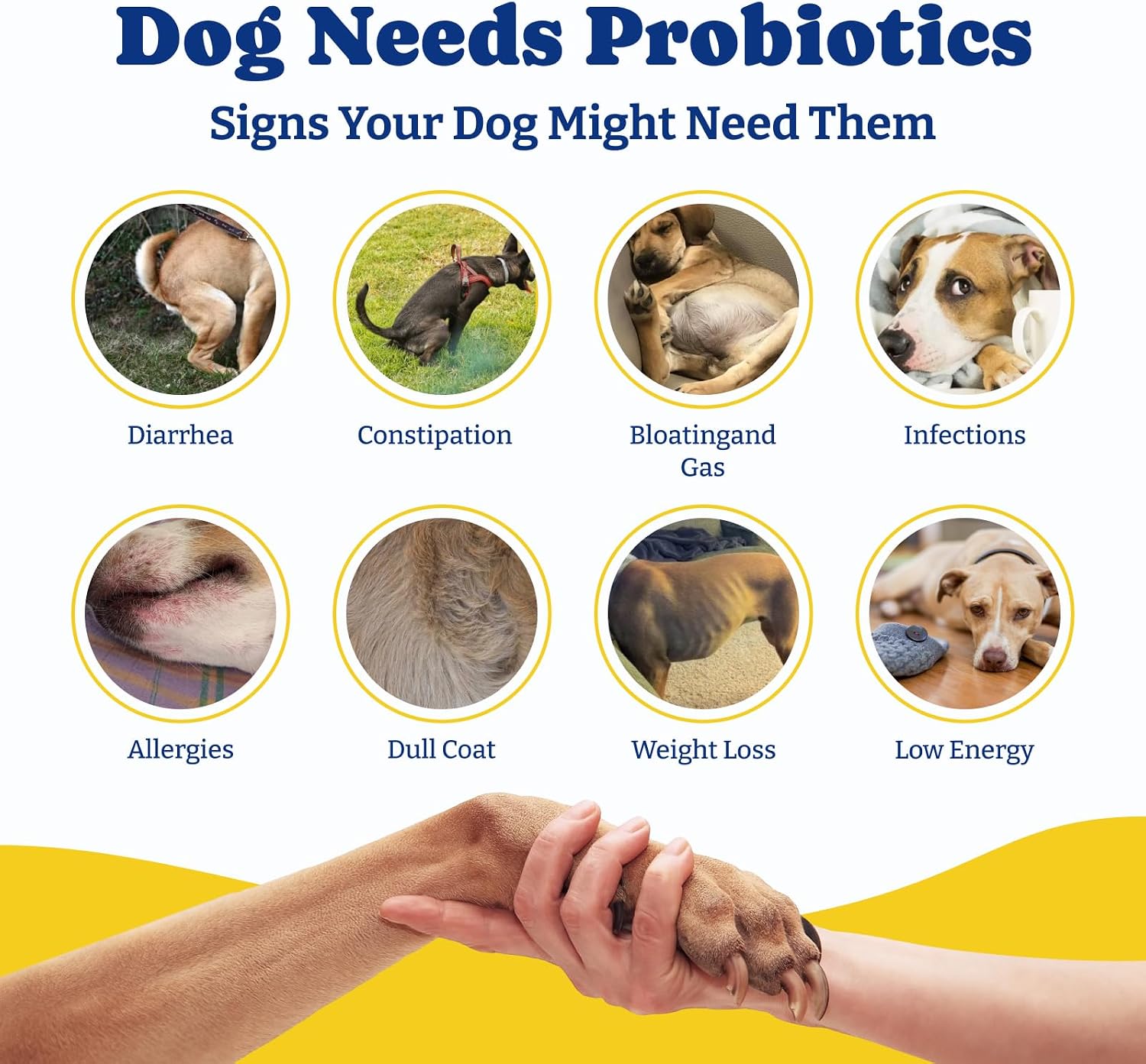 YoYoBay Probiotics for Dogs - 6 Billion CFUs, 180 Soft Chews, Salmon & Blueberry Flavour - görsel 6