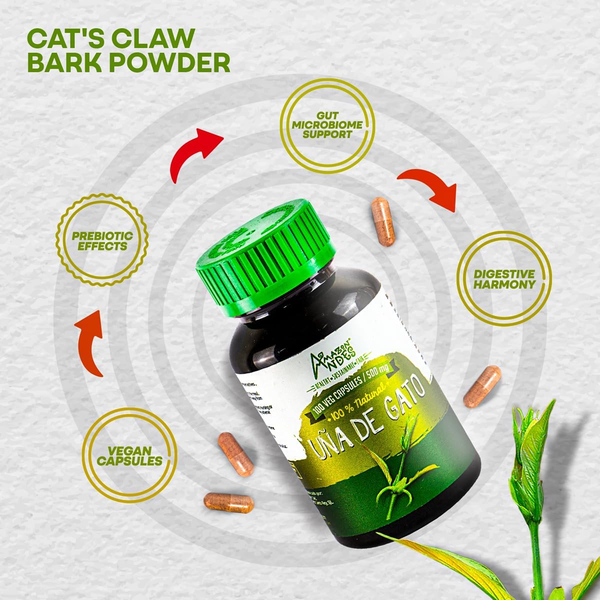 Cat's Claw (Uncaria Tomentosa) Capsules – 1000mg per Serving, Vegan, Sustainably Sourced - görsel 5
