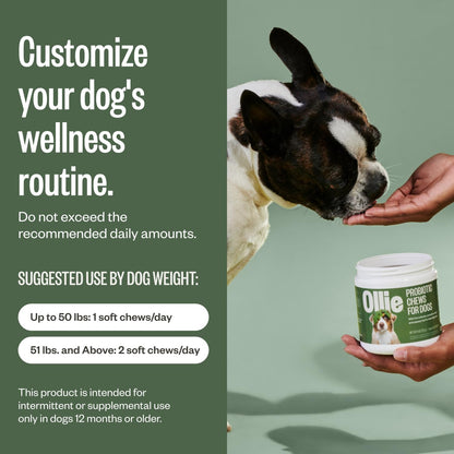 Ollie Belly Rubs Probiotic Dog Chews for Digestive Health, 60 Chews