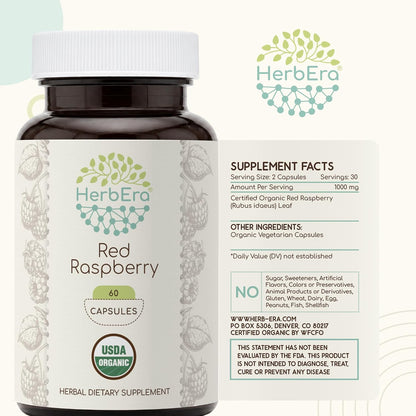 HerbEra USDA Organic Red Raspberry Leaf Capsules – Traditional Herbal Support, Rubus Idaeus Dried Leaf, Daily Wellness Capsules, Vegan, Herbal Supplement (60 Capsules)