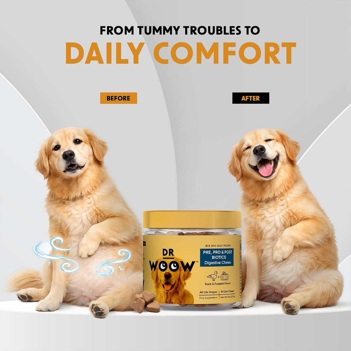 DR WOOW Probiotics for Dogs Soft Chews – Duck & Pumpkin Flavour (90 Count) - görsel 7