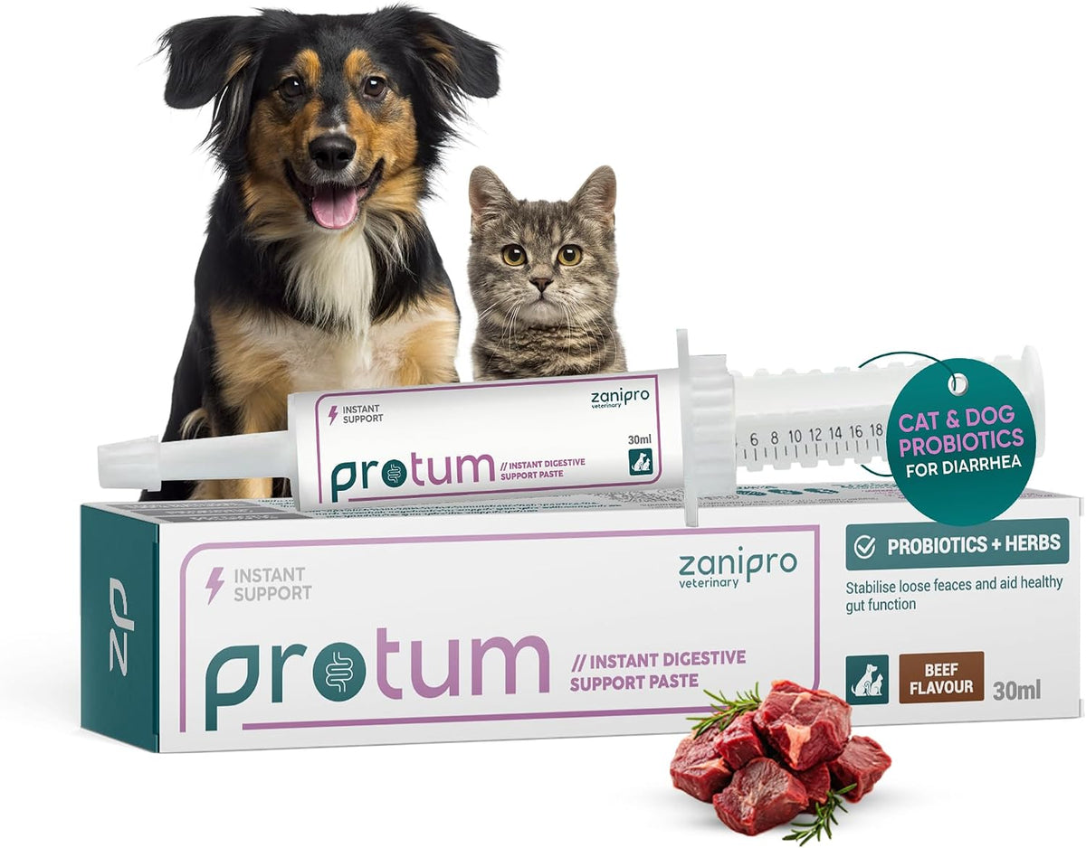 Zanipro Dog Diarrhoea Treatment, Fast Acting Upset Stomach Relief, Prebiotic & Probiotics for Dogs & Cats, Stop Loose Stools, Tasty Beef Flavour 30cc - görsel 1