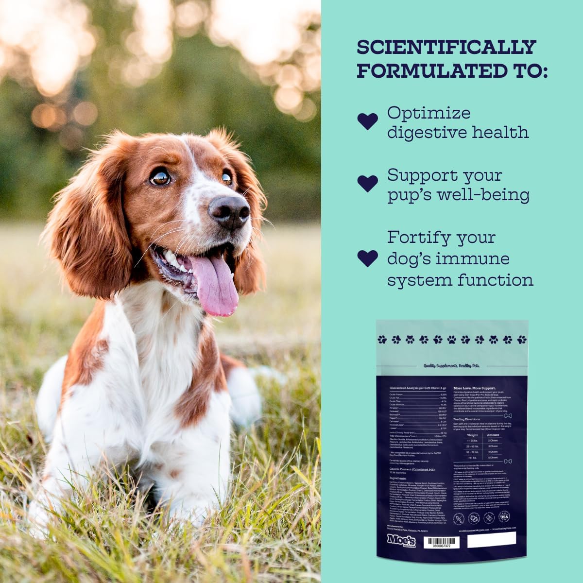 Moe's Probiotic Chews for Dogs 90ct – Pumpkin Flavour Prebiotics & Probiotics for Gut Health, Digestion, Immunity and Itchy Skin Relief - görsel 3