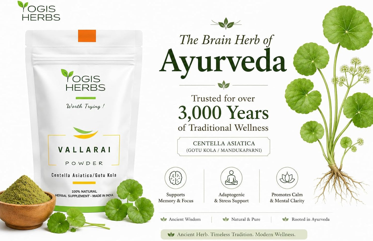 Vallarai Powder, Centella Asiatica (Gotu Kola/Mandukaparni) — Traditional Ayurvedic Herb for Cognitive Wellbeing & Mental Clarity — Pure Whole-Leaf Powder, Single-Ingredient - görsel 6