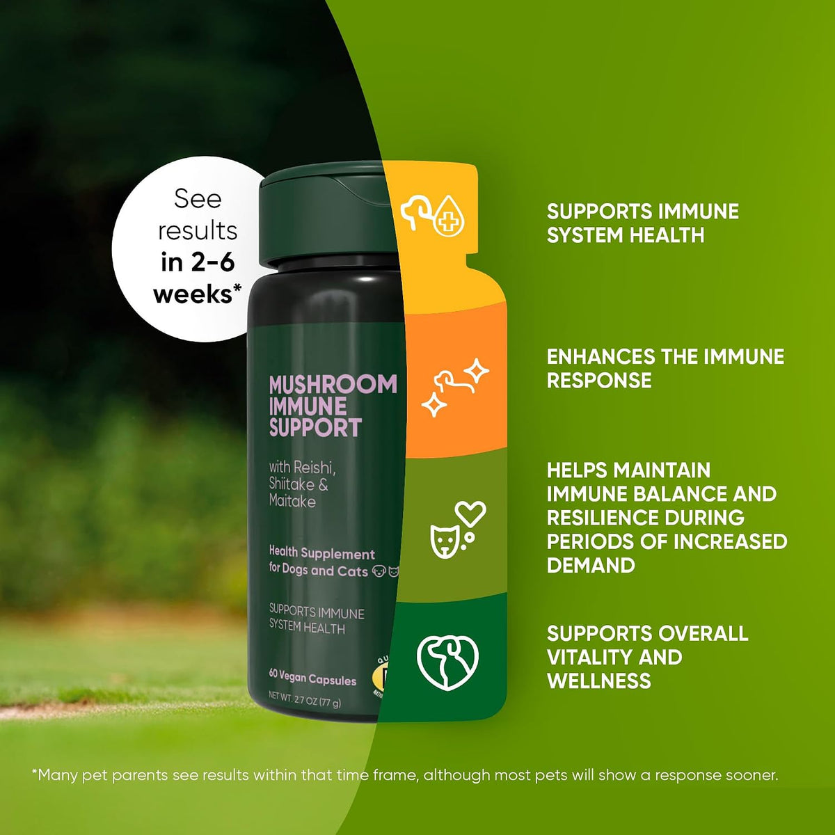 Rooted Owl® Mushroom Supplement for Dogs & Cats - Immune Support - 60 Capsules - görsel 3