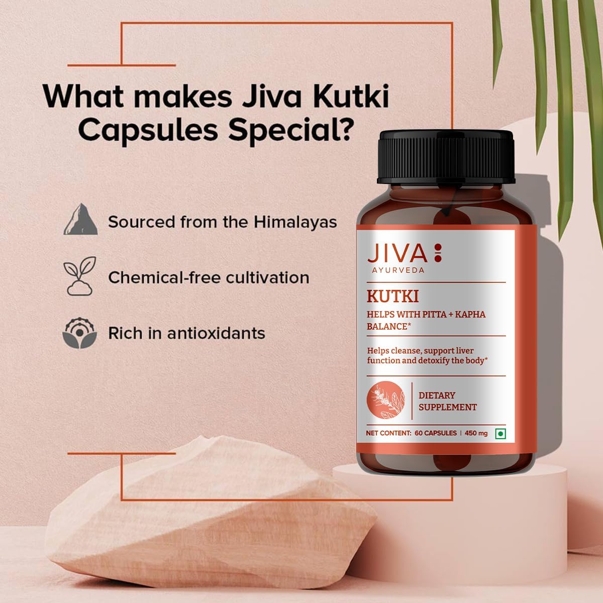 Jiva Ayurveda Kutki Capsules – Traditional Herbal Supplement for Liver Support, Detoxification and Digestive Balance – 100% Ayurvedic Formula – 60 Vegetarian Capsules - görsel 4