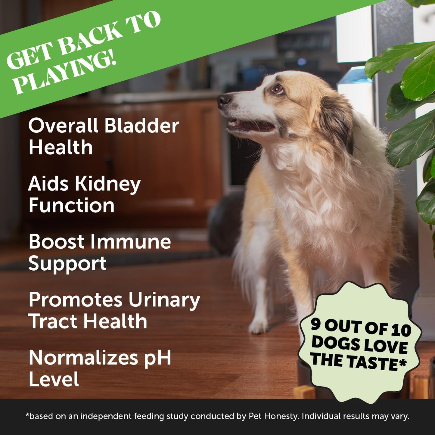 Pet Honesty Cranberry for Dogs Urinary Tract Support - Bacon Flavour, 90 Chews - görsel 2