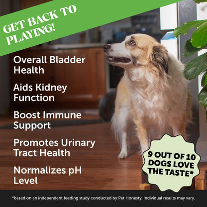 Pet Honesty Cranberry for Dogs Urinary Tract Support - Bacon Flavour, 90 Chews