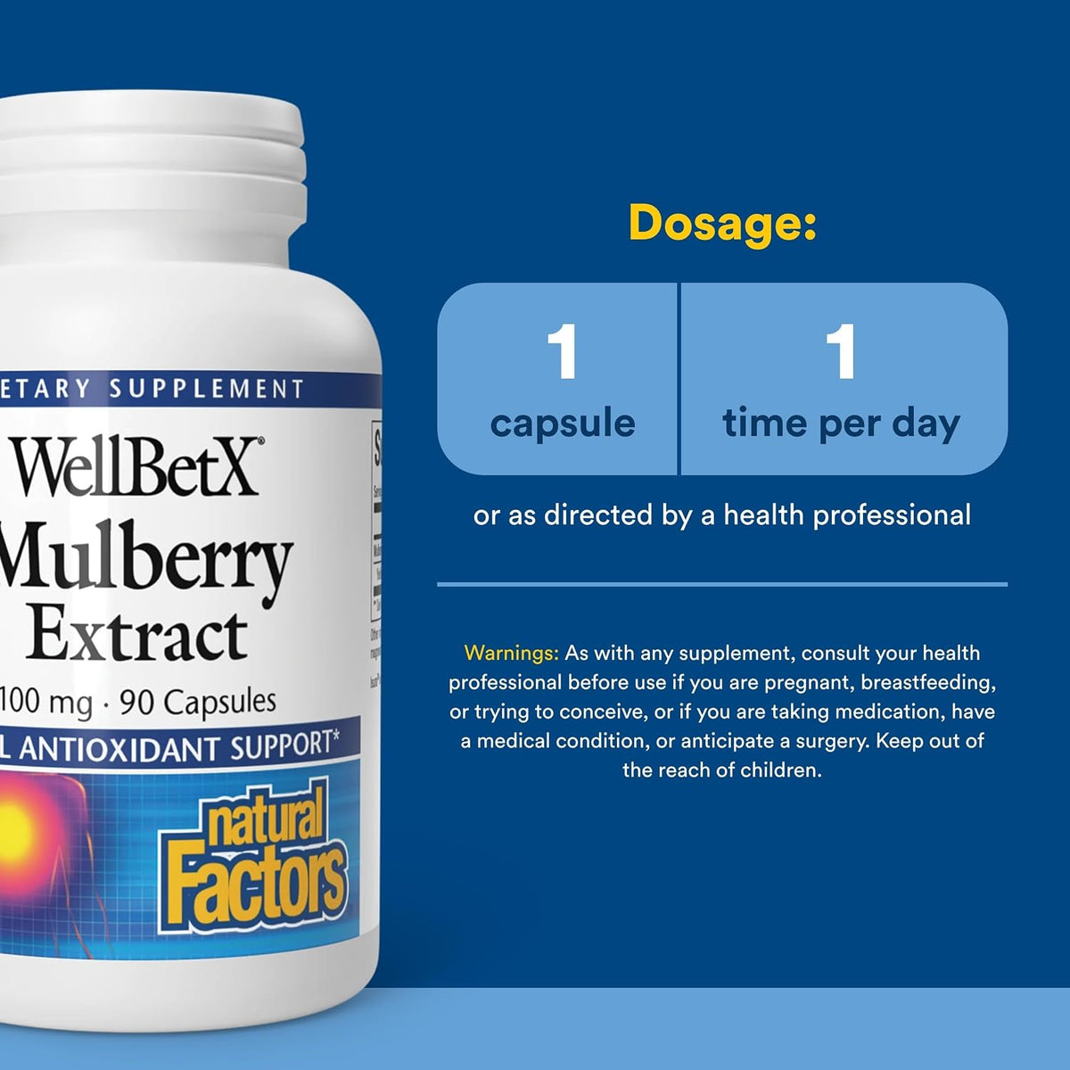 Natural Factors WellBetX Mulberry Extract - Herbal Antioxidant Support with Moranoline - 90 Capsules - görsel 3