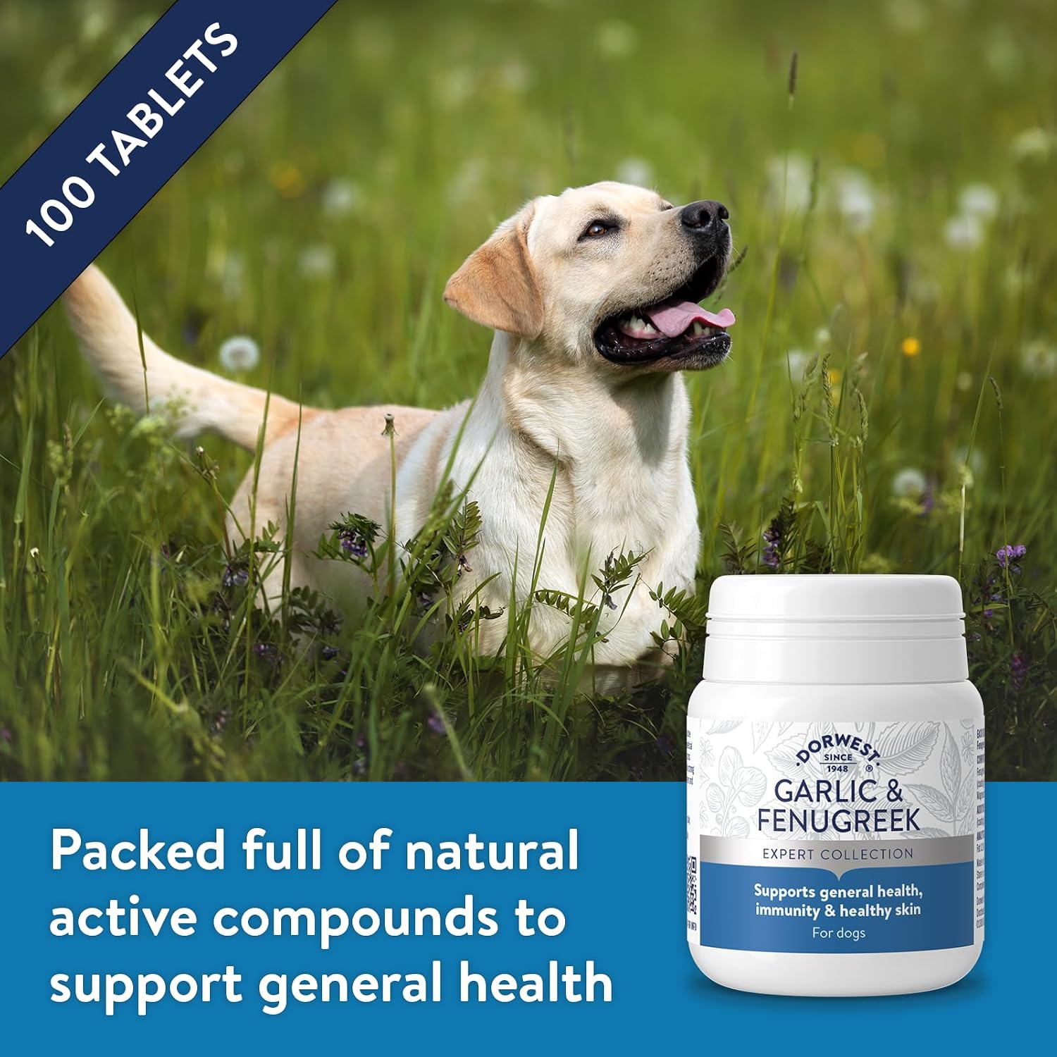 Dorwest Herbs Garlic and Fenugreek Tablets for Dogs and Cats (100 Tablets) - görsel 4