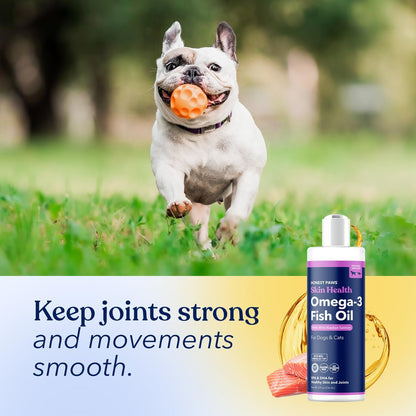 Salmon Oil for Dogs and Cats – Omega-3 Fish Oil Supplement for Skin, Coat, Joint and Heart Health – Natural, Sustainably Sourced Wild Alaskan Salmon, 237 ml