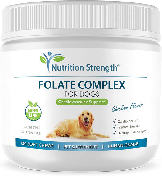 Nutrition Strength Folate for Dogs – Cardiovascular & Prenatal Support, DNA Synthesis, with Zinc, Biotin, Iron & Vitamin B12, 120 Soft Chews