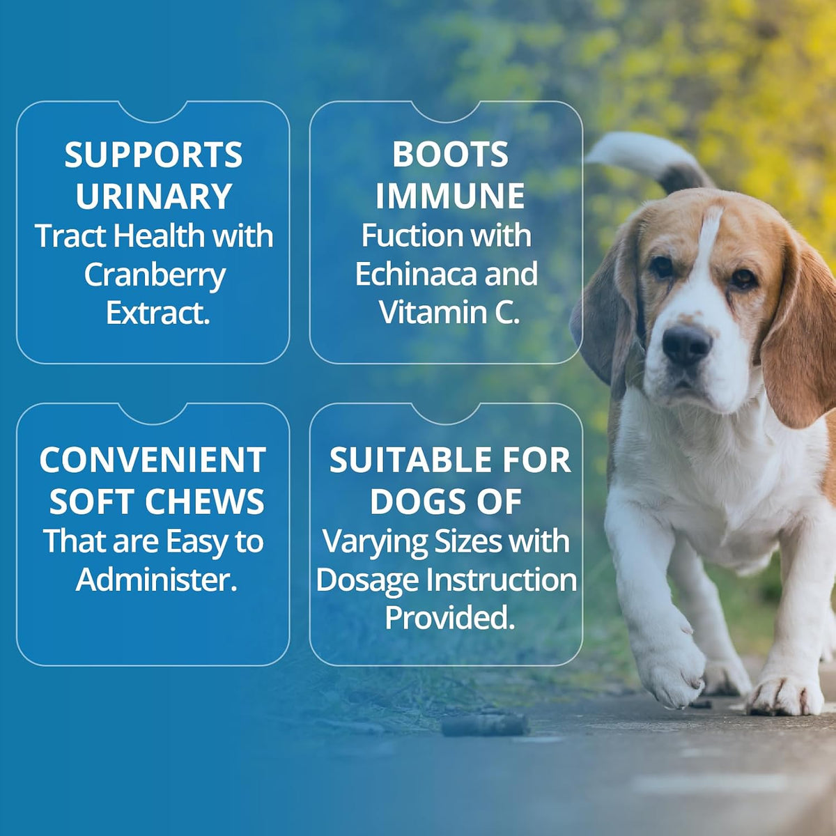 Replenish Urinary Tract Chews for Dogs - Cranberry Extract - 60 Chews - görsel 4