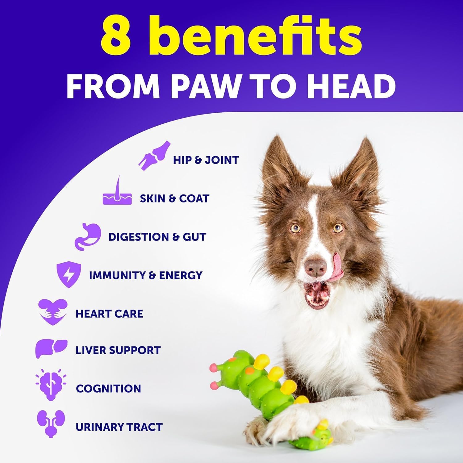 26-in-1 Dog Multivitamin Chews with Glucosamine, 120 Chews - görsel 3
