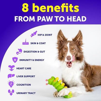 26-in-1 Dog Multivitamin Chews with Glucosamine, 120 Chews