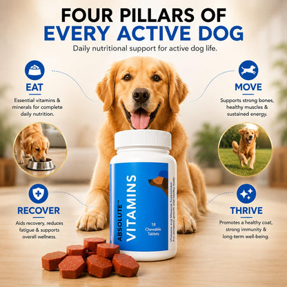 Drools Absolute Vitamin Tablets for Dogs, 110 Count