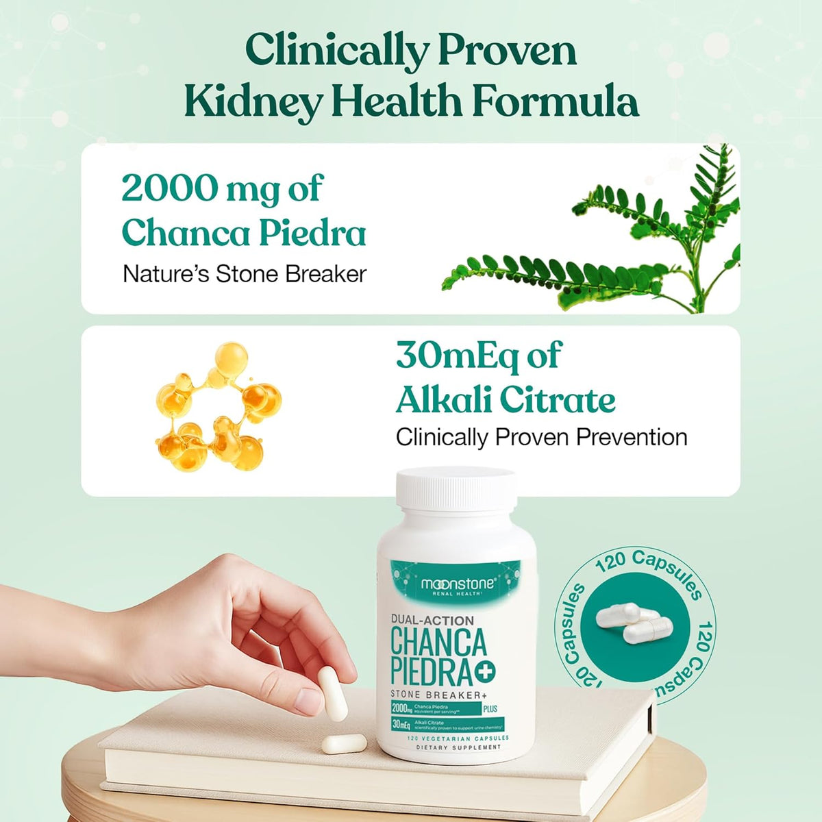 Chanca Piedra Stone Breaker, Advanced Formula Natural Dissolver, Kidney Cleanse Supplement, Urinary Tract Detox, Flush Impurities, Clear System, Sugar Free, 30 Day Supply (120 Vegan Capsules) - görsel 3