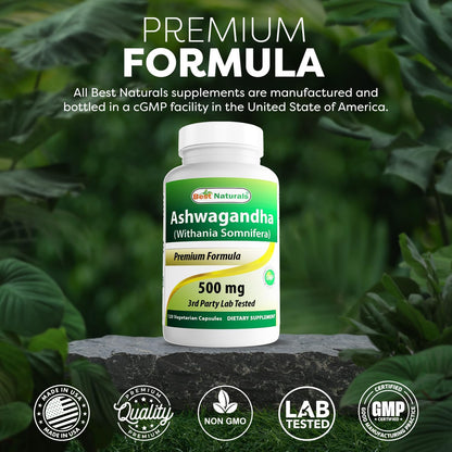 Best Naturals Ashwagandha Extract 500 mg, 120 Capsules (Pack of 2)