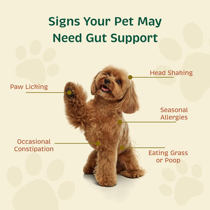 Spirited Paw Probiotic + Gut Health - Digestive & Immune Support for Dogs & Cats - Prebiotic, Probiotic & Postbiotic Pet Care Blend with Organic Buckwheat & Chicory Root Fibre - 90 Capsules