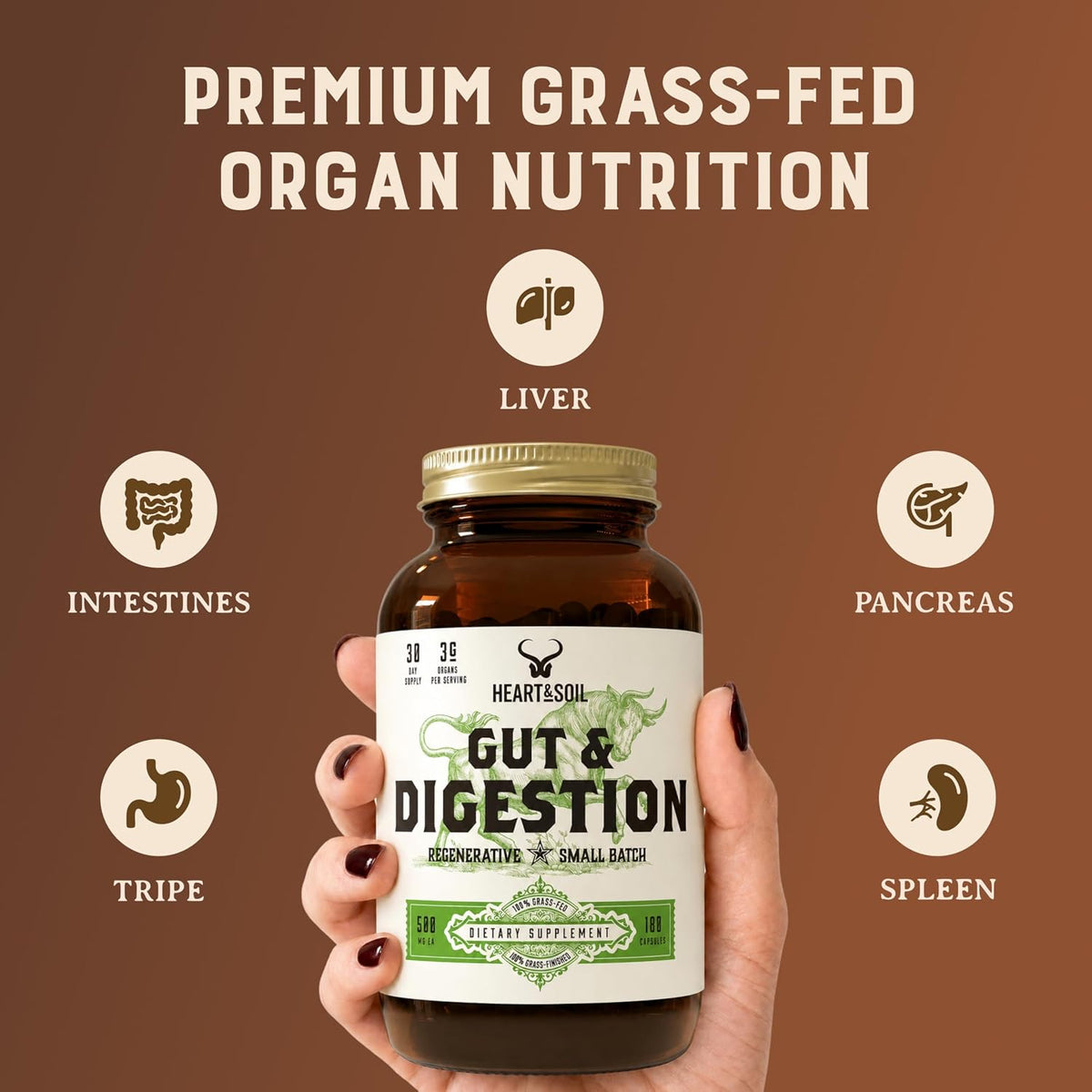 HEART & SOIL Gut & Digestion – Grass Fed Beef Organs for Digestive Health – 180 Capsules - görsel 7