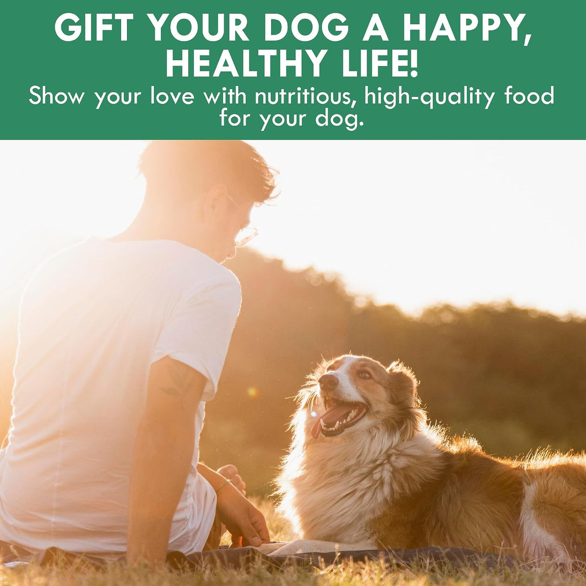 Holistic Bin Canine Super Greens Plant-Based Dog Food Topper | Nutrient-Rich Supplement Powder | Gut Balance, Joint Strength, Digestion, Fresh Breath & Overall Canine Wellness | Greens Powder (50g) - görsel 7